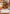 Savareen Survivor (Hyperspace) (452) - A Lawless Time - A Lawless Time - Card Brawlers | Quebec | Canada |