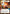 Anakin's Podracer - So Wizard! (Hyperspace) (483) - A Lawless Time - A Lawless Time - Card Brawlers | Quebec | Canada |