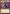 Kage Elite (Hyperspace) (498) - A Lawless Time - A Lawless Time - Card Brawlers | Quebec | Canada |