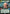 Bib Fortuna - Die Wanna Wanga? (Hyperspace Foil) (398) - A Lawless Time Foil - A Lawless Time - Card Brawlers | Quebec | Canada |