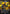 Bodhi Rook - Creating a Diversion (Prestige) (805) - A Lawless Time - A Lawless Time - Card Brawlers | Quebec | Canada |