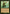 Nissa, Resurgent Animist (Retro) [March of the Machine: The Aftermath] - Magic: The Gathering - Card Brawlers | Quebec | Canada |