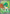 Decidueye ex (100/088) - Holofoil [ME03 Perfect Order] - ME03: Perfect Order - Card Brawlers | Quebec | Canada |
