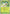 Shaymin (003/null) [ME03 Perfect Order] - ME03: Perfect Order - Card Brawlers | Quebec | Canada |