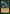 Guardian Project (Retro Frame) [Ravnica Remastered] - Magic: The Gathering - Card Brawlers | Quebec | Canada |