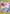 Monkey.D.Luffy (EB04-061) (EB04-061) - Adventure on Kami's Island Foil
