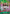 Roronoa Zoro (OP13-037) (OP13-037) - Adventure on Kami's Island Foil