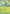 Serperior (064/null) [ME Mega Evolution Promo]