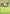 Chikorita (Cosmos Holo) (069/null) - Holofoil [ME Mega Evolution Promo] - ME: Mega Evolution Promo - Card Brawlers | Quebec | Canada |