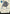 Deduce (JP Alternate Art) (SOA-081) - Secrets of Strixhaven: Mystical Archive