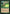 Centaur Glade [Mystery Booster] - Magic: The Gathering - Card Brawlers | Quebec | Canada |