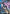 Victory Gundam (GD04-003) (GD04-003) - Phantom Aria Holofoil