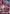 Gundam Throne Eins (GD04-036) - Phantom Aria Holofoil