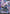 Destiny Gundam (GD04-050) - Phantom Aria Holofoil