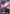 Gundam Virtue (Trans-Am) (GD04-054) - Phantom Aria Holofoil