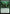 Germination Practicum (PPSOS-149) - Promo Pack: Secrets of Strixhaven