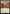 Great Hall of the Biblioplex (PPSOS-257) - Promo Pack: Secrets of Strixhaven Foil