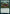 Bayou Groff [Strixhaven: School of Mages] - Magic: The Gathering - Card Brawlers | Quebec | Canada |