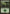 Forest (247) [Magic 2014] - Magic: The Gathering - Card Brawlers | Quebec | Canada |