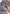 Gundam Barbatos Lupus (Newtype Challenge 2026 Mission 3) (GD03-050) - Gundam Promotional Cards Holofoil