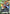 Gundam Heavyarms (Judge Pack 02) (GD02-025) - Gundam Promotional Cards Holofoil