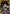 Chihiro Rokuhira (Regionals 26-27) (UEPR/KGR-1-015) - Union Arena Promotion Cards Foil