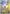 Ampharos (090/086) - Holofoil [ME04 Chaos Rising]