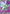 Beedrill ex (098/086) - Holofoil [ME04 Chaos Rising]