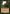 Sylvan Library (Retro) [Dominaria Remastered] - Magic: The Gathering - Card Brawlers | Quebec | Canada |