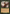 Rishkar's Expertise (Retro Frame) [Wizards Play Network 2025] - Magic: The Gathering - Card Brawlers | Quebec | Canada |