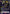 Lelouch Lamperouge (042) (SR***) (Serial Numbered) (UEX03BT/CGH-2-042) - UEX03BT CODE GEASS Lelouch of the Rebellion Vol2 Foil