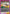 Master of Disguise (Release Event) (UE19BT/SMD-1-079) - UE19BT SAKAMOTO DAYS Release Event Cards