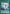 Theorealize (BLGG-EN127) Ultra Rare