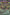 Supreme King Z-ARC [BLGG-EN141] Starlight Rare