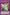 Draining Shield [BP02-EN181] Mosaic Rare - Yu-Gi-Oh! - Card Brawlers | Quebec | Canada |