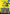 The Sentry, Golden Guardian (Borderless) (MSH-358) - Marvel Super Heroes