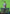 Bruce Banner (Borderless) (0359) (MSH-359) - Marvel Super Heroes