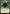 Director Nick Fury (MSC-081) - Commander: Marvel Super Heroes