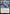 Captain America, Skybound (MSC-588) - Commander: Marvel Super Heroes Foil