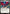 The Falcon, Sam Wilson (0837) (MSC-837) - Commander: Marvel Super Heroes