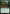 Black Tom Cassidy (MSC-715) - Commander: Marvel Super Heroes