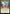 The Five Arrive - Genesis Ultimatum (Surge Foil) (MSC-283) - Commander: Marvel Super Heroes Foil