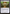 Cosmos Elixir [Secret Lair: Angels] - Magic: The Gathering - Card Brawlers | Quebec | Canada |