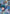 Resource (RP-057) (1st Anniversary Resource Pack) (RP-057) - Promotional Resource Tokens Holofoil