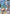 Resource (RP-062) (1st Anniversary Resource Pack) (RP-062) - Promotional Resource Tokens Holofoil