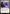 Valorous Stance (MSC-145) - Commander: Marvel Super Heroes