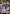 Diablo (005) (R*) (UE20BT/TSK-1-005) - UE20BT That Time I Got Reincarnated as a Slime Foil