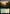 Canopy Vista (Extended Art) (MSC-462) - Commander: Marvel Super Heroes