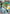 Snivy (049/null) - Holofoil [ME Mega Evolution Promo]