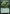 Phytotitan [Magic 2015 Prerelease Promos] - Magic: The Gathering - Card Brawlers | Quebec | Canada |